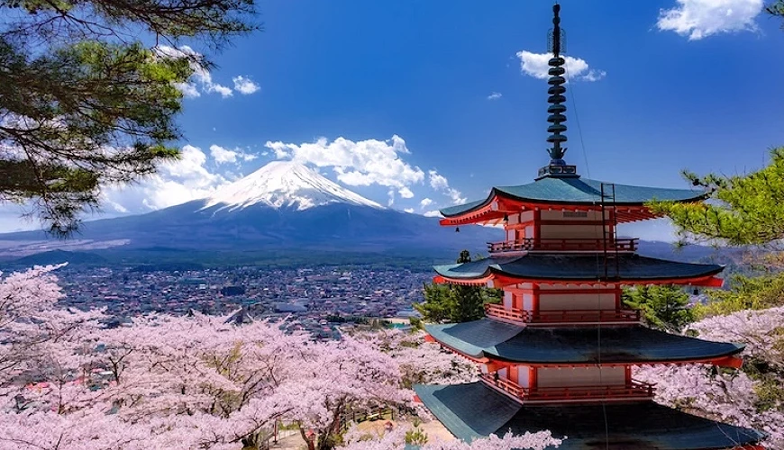 2025日本自由行規劃 日本旅遊新手攻略大全!機票住宿、交通方式、行程安排總整理