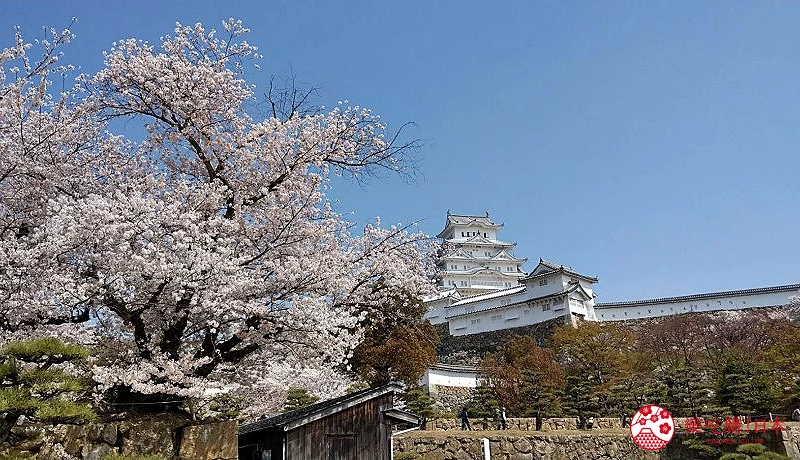日本全國自由行自助旅遊東京關西大阪京都奈良北海道新手教學懶人包總整理買機票廉價航空或傳統航空找住宿區域行前準備換匯匯率怎麼上網分享器漫遊sim卡行李打包入境海關怎麼排行程交通方式預算省錢在日本須注意的禮節治安問題回程搭機須注意哪些事情