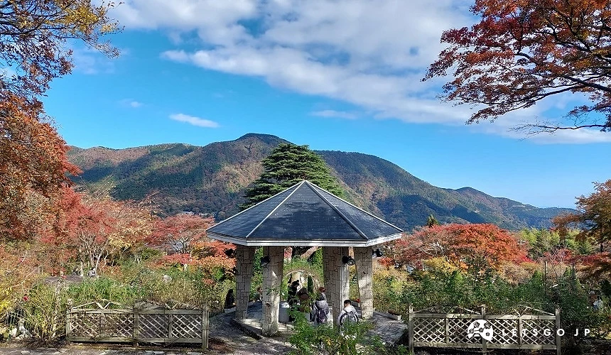 強羅公園的涼亭及楓葉