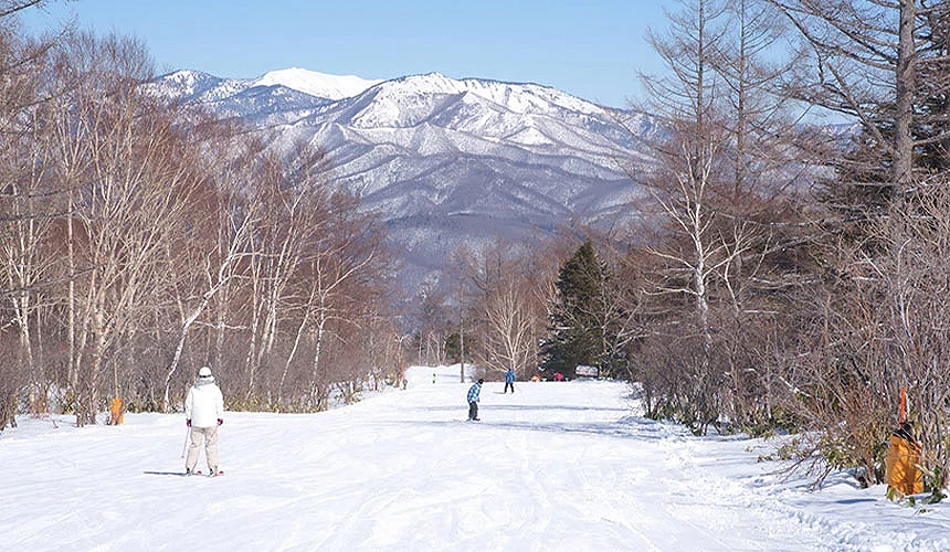 日本北海道冬季滑雪場景,滑雪者沿著被白雪覆蓋的山坡滑行,遠方雪山與樹林構成壯闊風