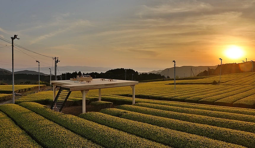 Tea Tourism