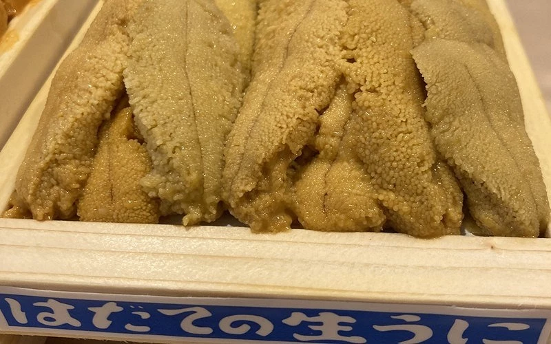 盒裝海膽整齊排列表面顆粒分明