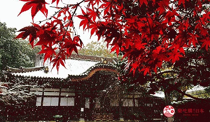 京王電鐵京王線一日券推薦景點調布深大寺紅葉