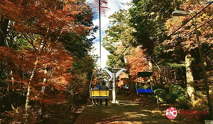 京王電鐵京王線一日券推薦景點高尾山登山纜車