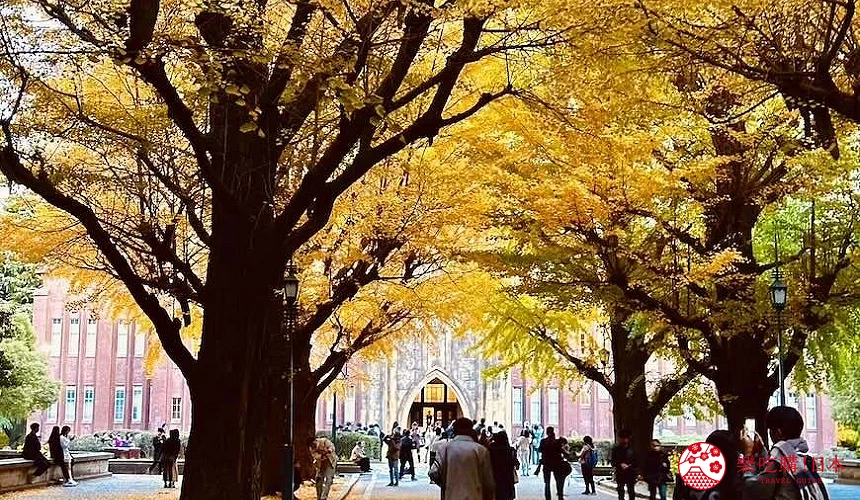 一張車票玩遍東京西部!使用京王一日券暢遊京王電鐵沿線景點駒場東大前站