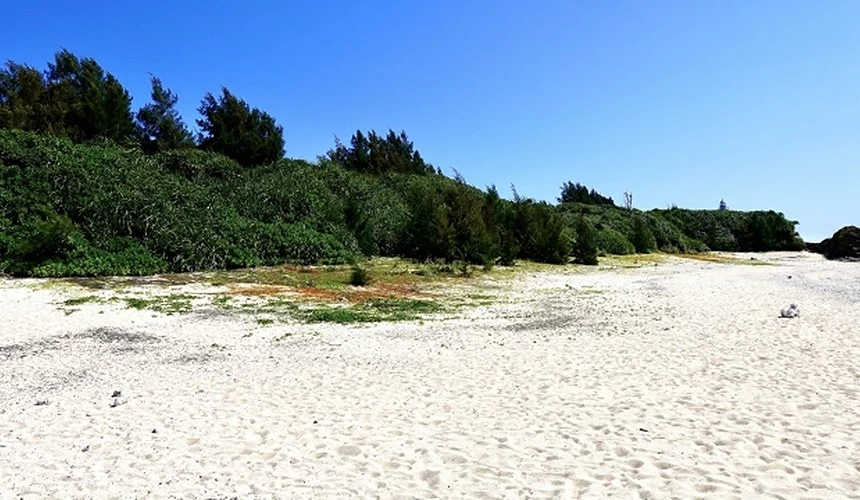 赤崎海岸