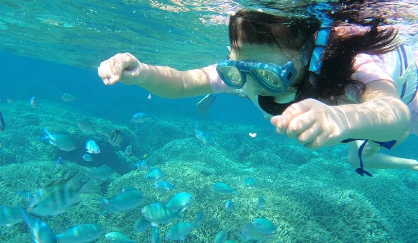 TANDY Marine