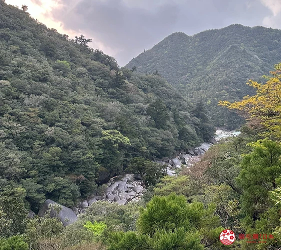 繩文杉登山步道