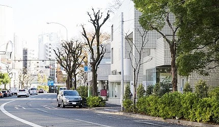 東急電鐵東急線一日券推薦沿線景點代官山街景