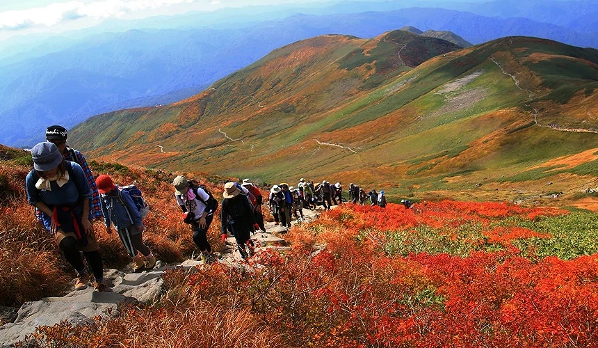 月山健行體驗