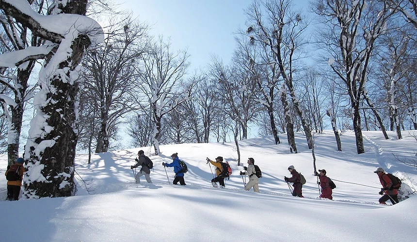 雪鞋健行導覽