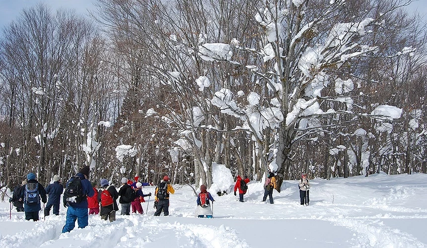 雪鞋健行導覽