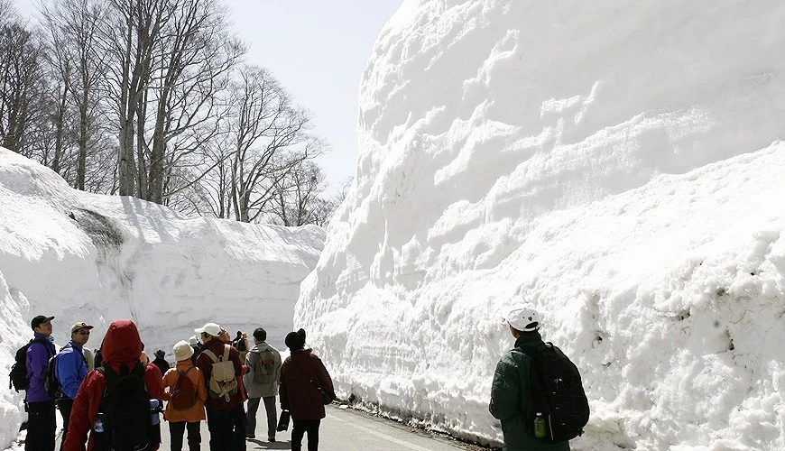 月山雪之迴廊漫步