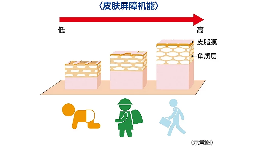 皮膚的屏障機能隨著年齡而有不同