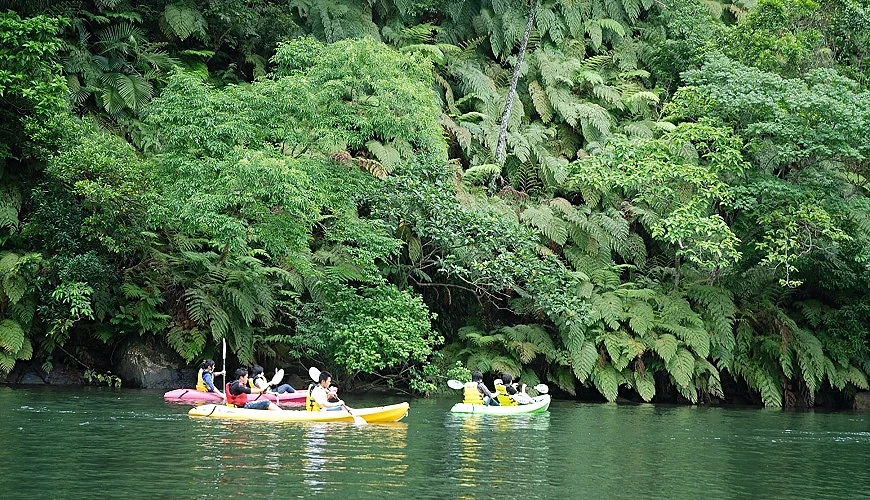 可搭遊覽船或划獨木舟遊覽浦內川
