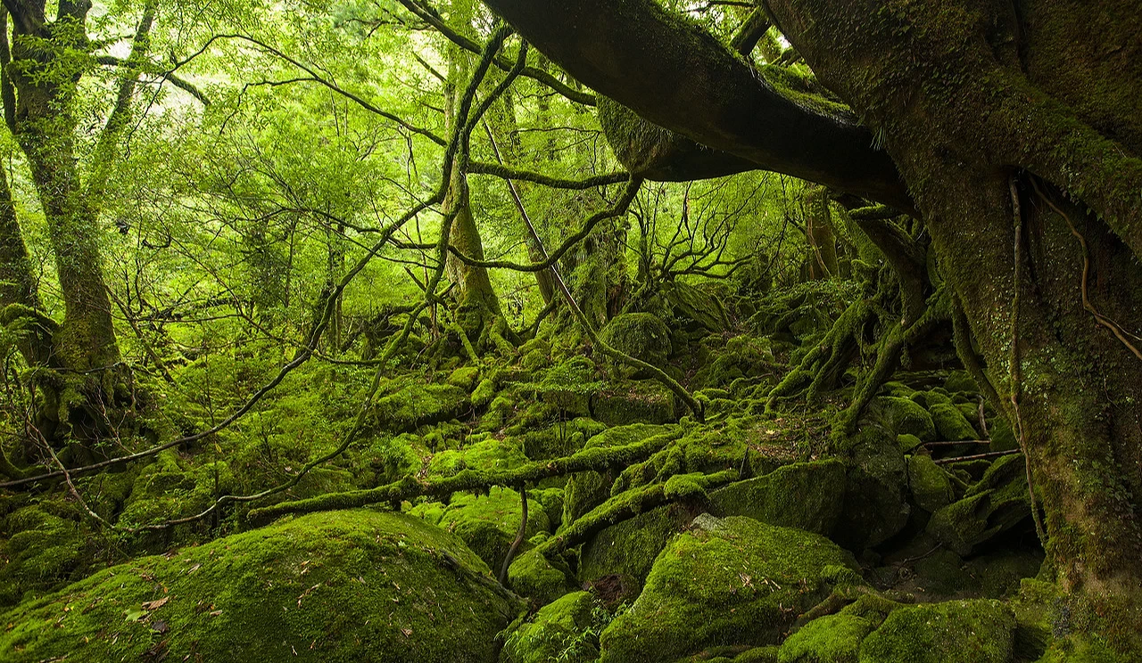 九州福岡自由行