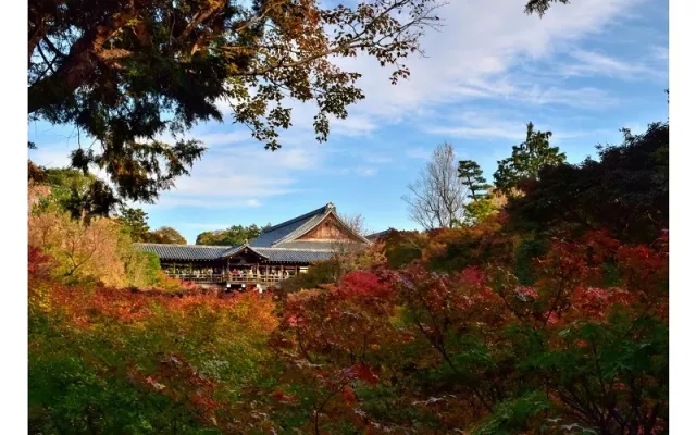 東福寺完整攻略：交通方式、門票資訊、四季亮點、周邊景點及美食整理