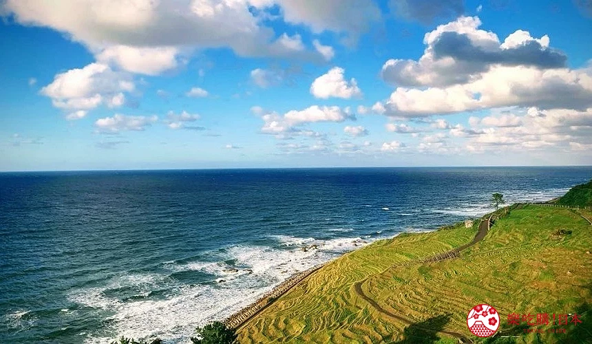能登半島有許多美麗梯田