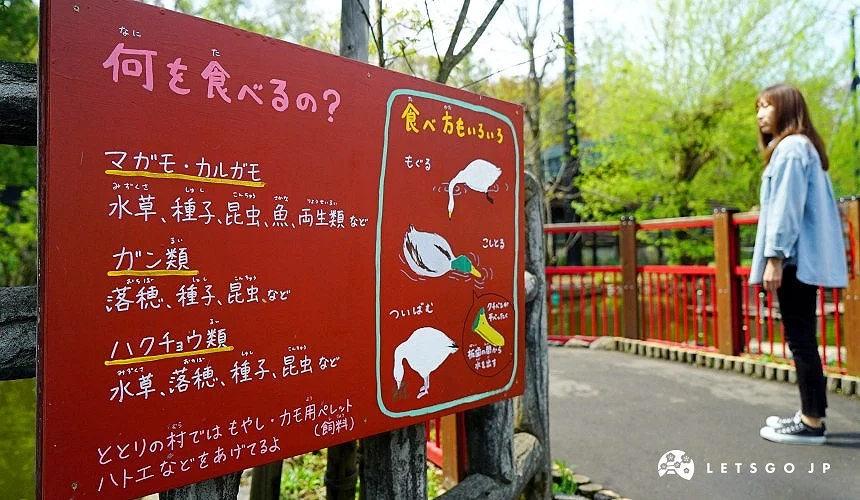 旭山動物園園區內的手繪解說牌,展示動物知識與行動展示理念