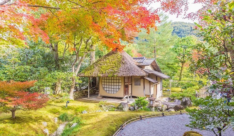 鷲峰山高台寺秋景,前景為楓樹