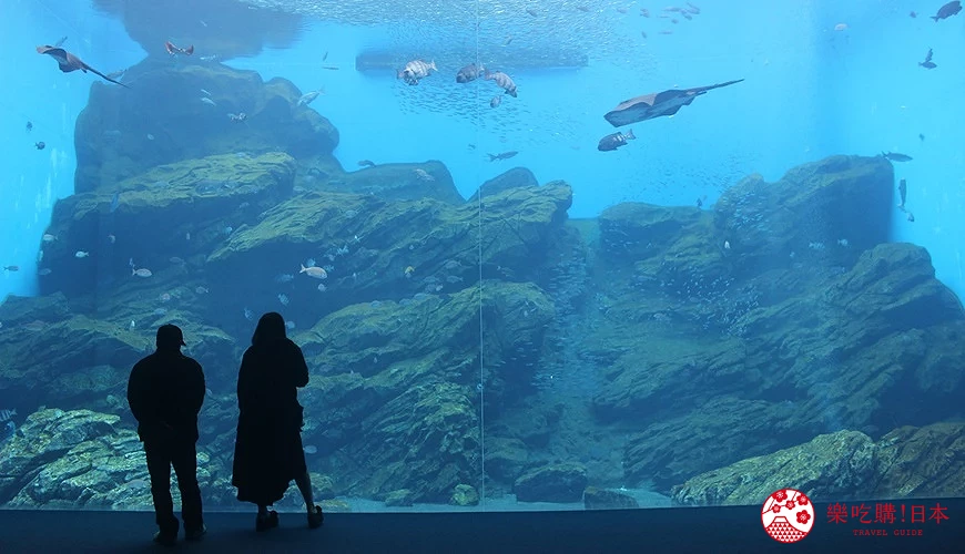 仙台海洋森林水族館一樓的大水槽