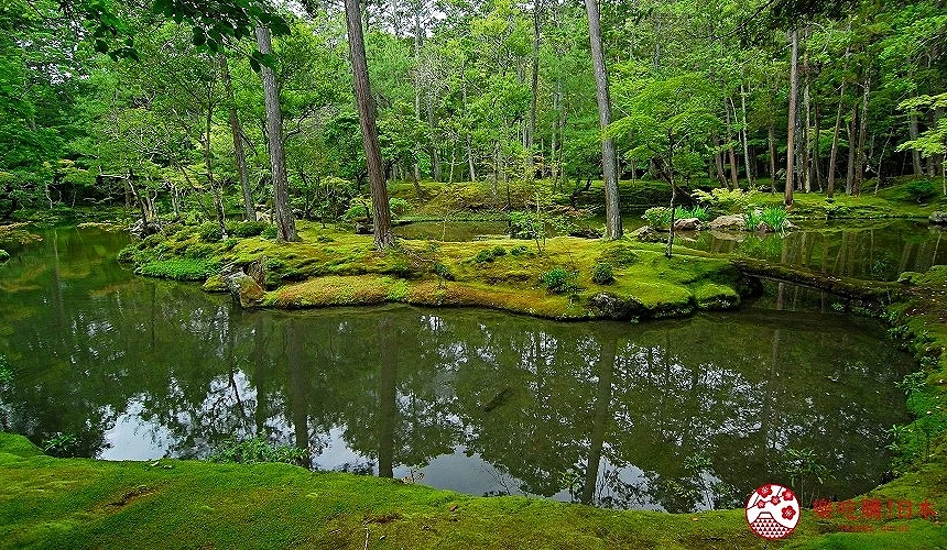 嵐山西芳寺苔寺內部青苔大景