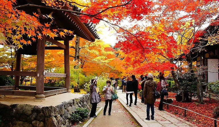 遊客在嵐山常寂光寺寺內的景觀