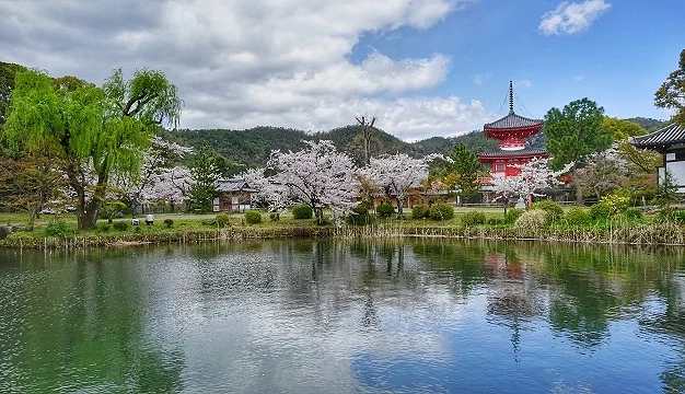 嵐山大覺寺寺內的大澤池廣角