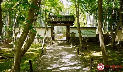 嵐山地藏院苔之參道廣角景觀
