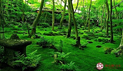 嵐山祇王寺寺內的苔庭景觀
