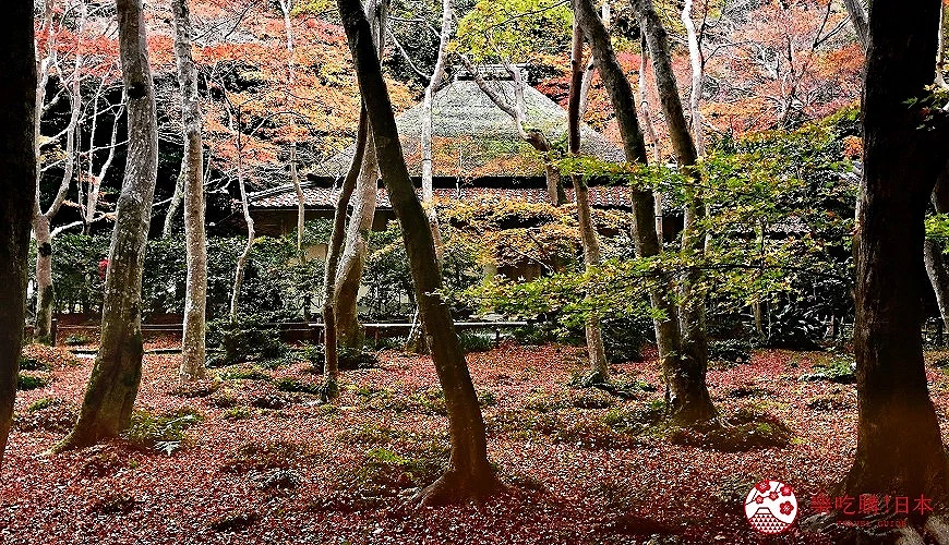 嵐山祇王寺寺內的紅葉
