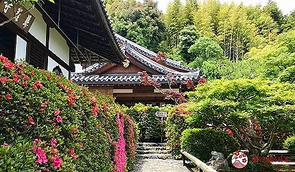 嵐山鈴蟲寺寺內景觀