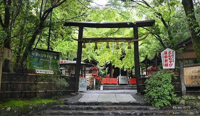 嵐山野宮神社前的黑木鳥居大景