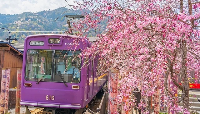 京都嵐山嵐電北野線行駛中的電車