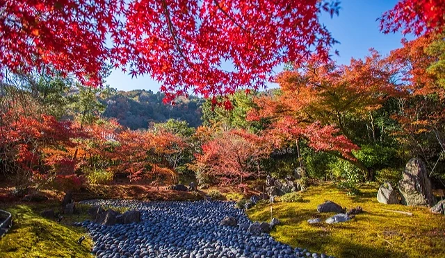 從嵐山寶嚴院望向紅葉的景觀