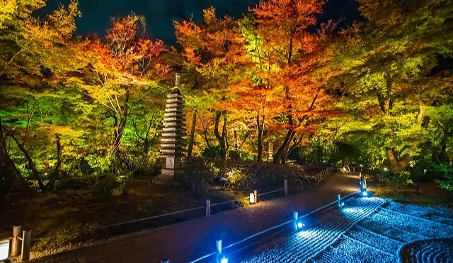 晚上嵐山寶嚴院院內紅葉景觀