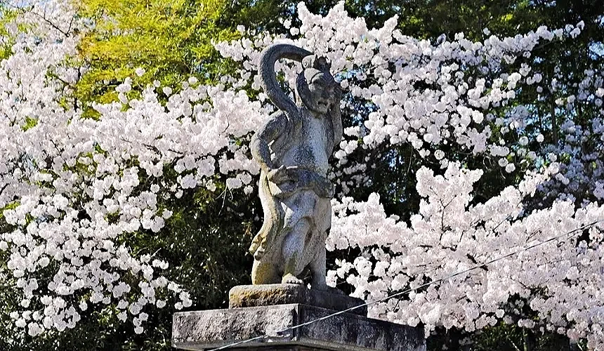 大阪高尾山觀音山慈眼院境內石像與滿開櫻花,春季為當地著名賞櫻秘境