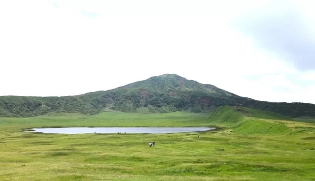 熊本必搭Aso caldera line！車中解鎖阿蘇火山、草千里、上色見熊野座神社