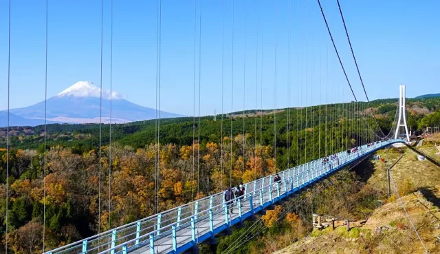 三島天空步道（三島Skywalk）：交通門票攻略，靜岡必玩吊橋滑索
