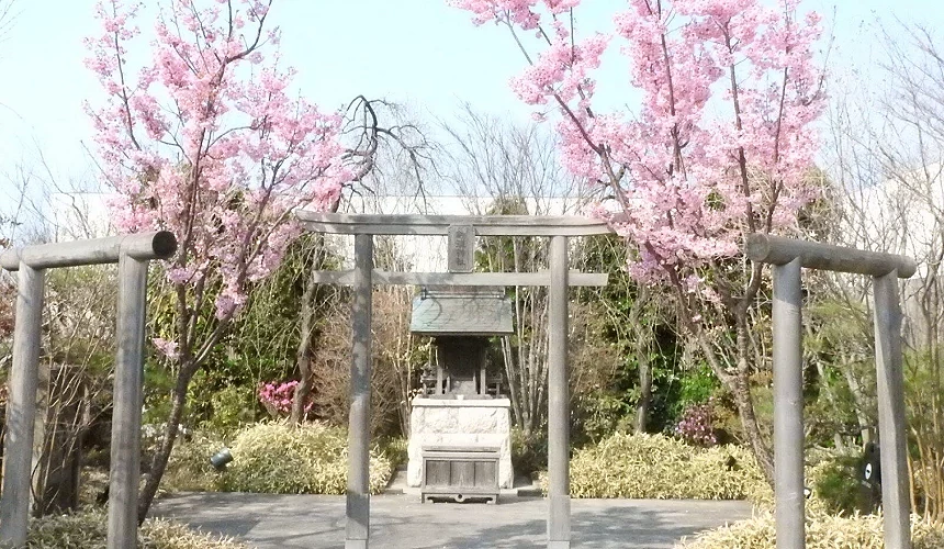 神社、鳥居與櫻花