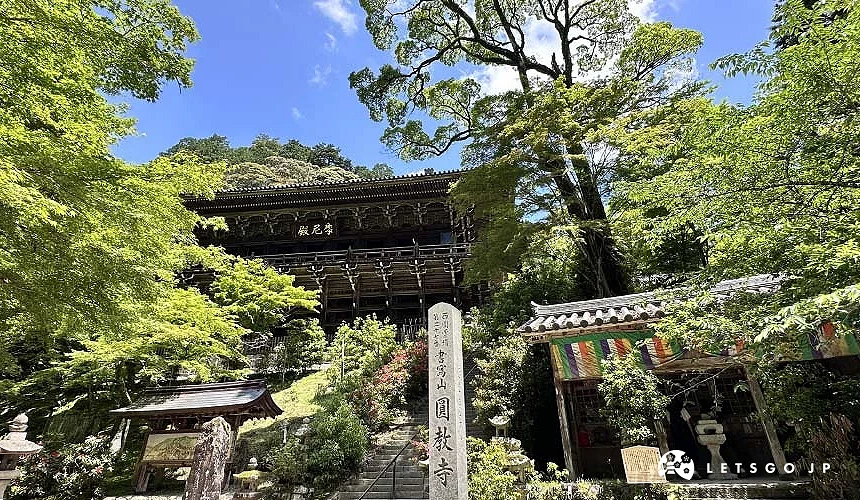 隱身於山林之間,被綠意包圍著的摩尼殿