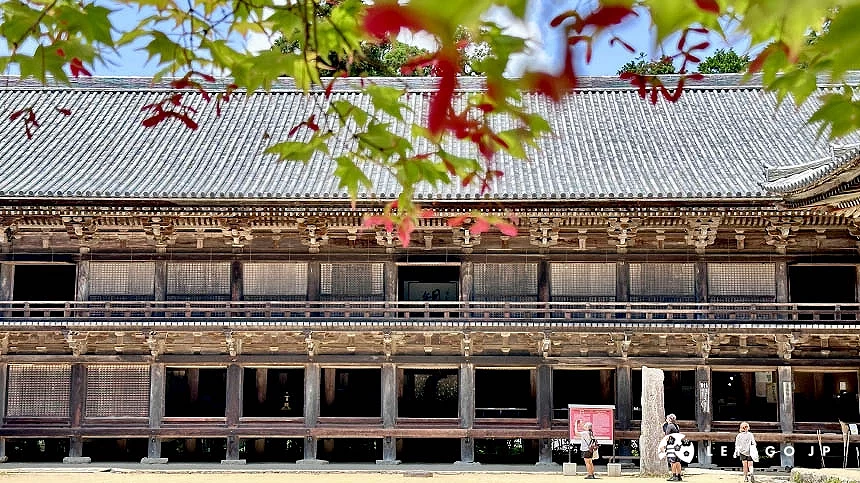 楓葉下壯觀的圓教寺大講堂