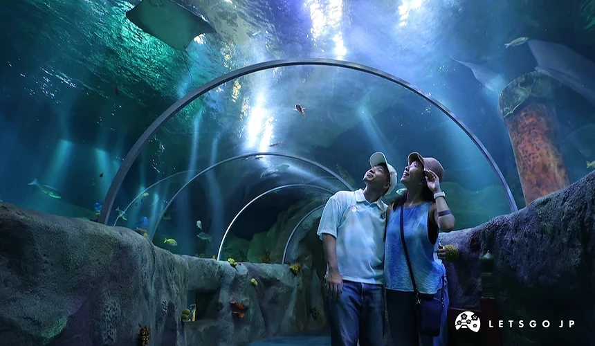 SEA LIFE 名古屋的海中隧道可欣賞水中生態
