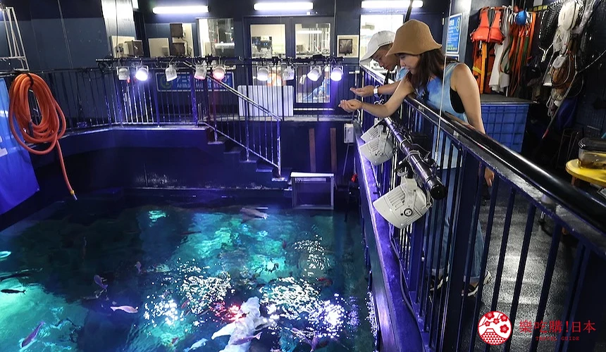 「後台參觀行程」中可體驗餵魚、觀察受傷魚類的康復過程