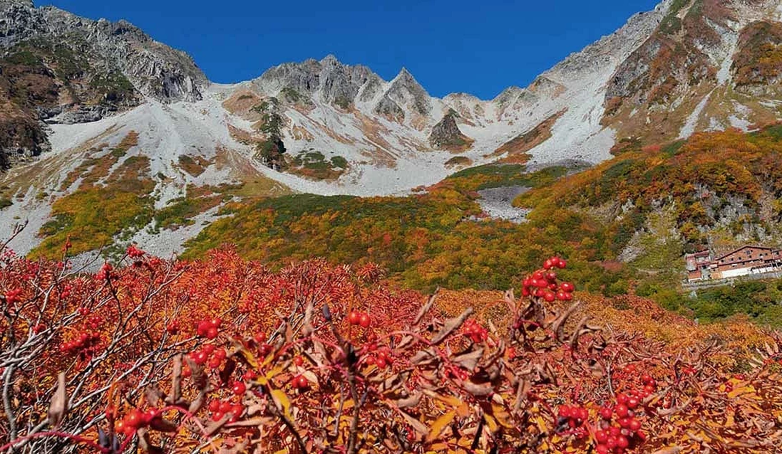 灰綠色的山脈,前面有一大片黃紅色樹林