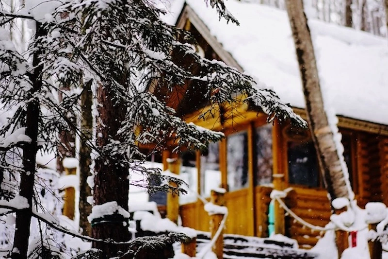 樹為前景,後有小屋