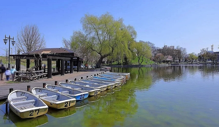 常磐公園一景,千鳥池旁停著許多小船