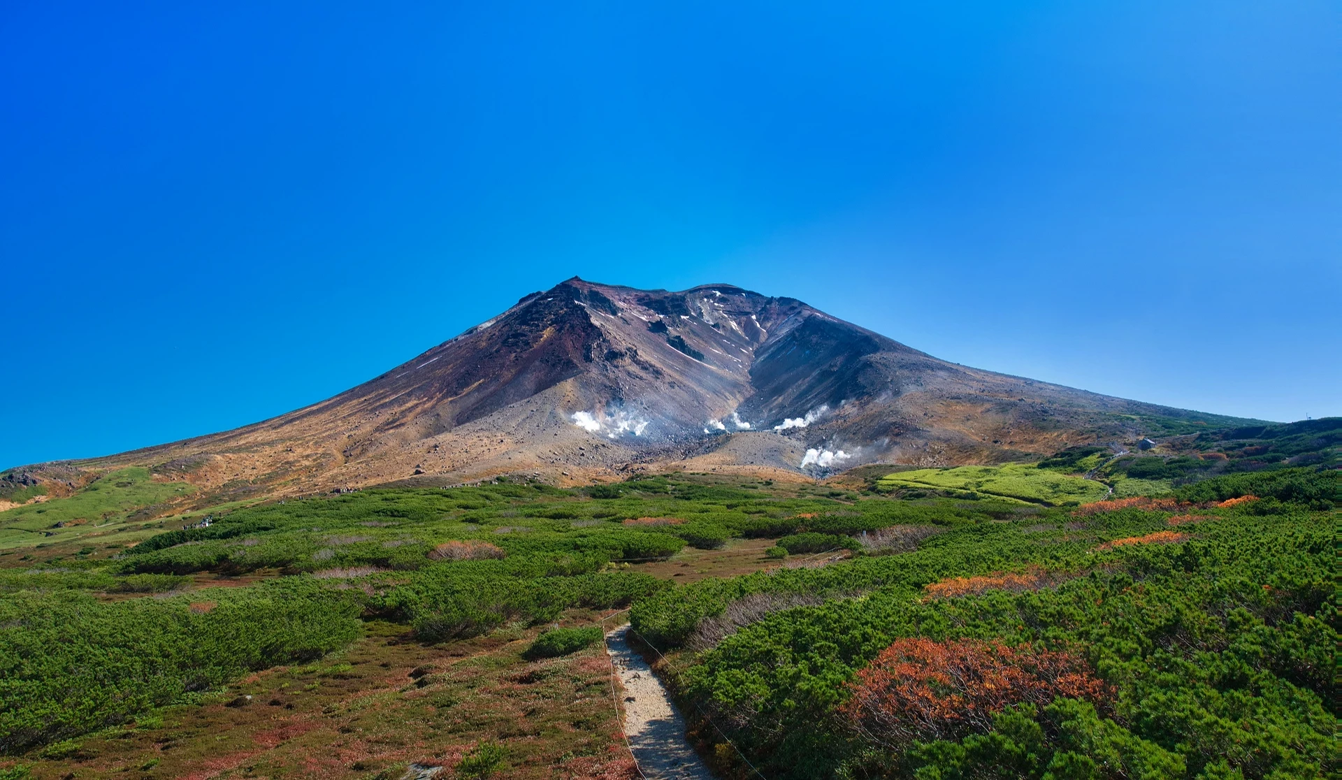 登山步道從眼前開展,遠處是雄偉的旭岳