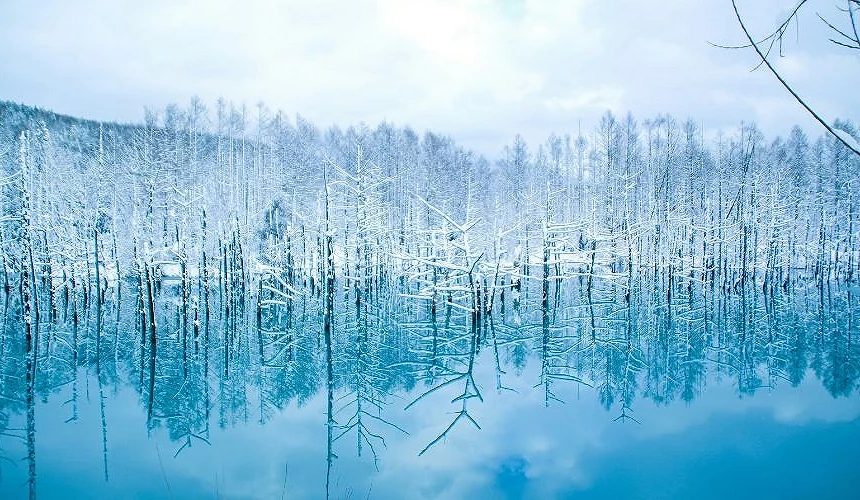 冬天的白金青池,被白雪覆蓋的山林和淺藍色池塘