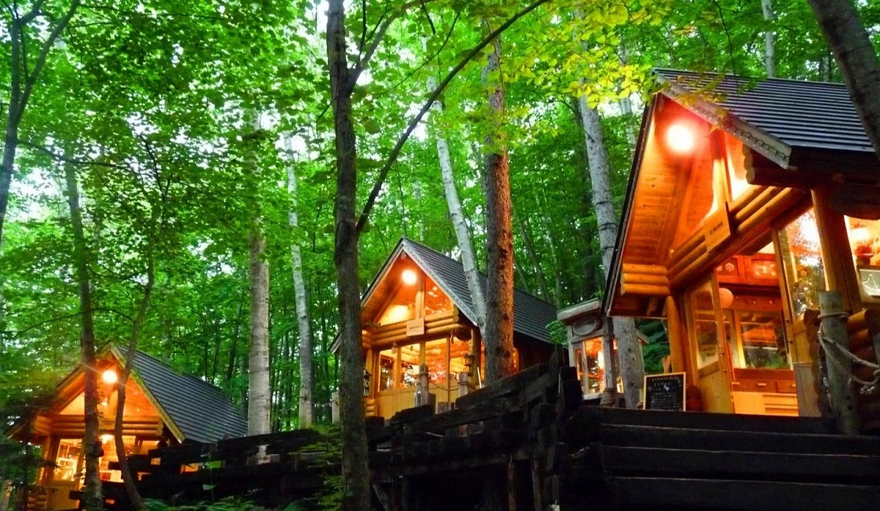 森林精靈露臺,木頭小屋座落在綠意茂盛的山林中